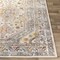 Livabliss New Mexico NWM-2309 Machine Crafted Area Rug NWM2309-23 - alternate 3
